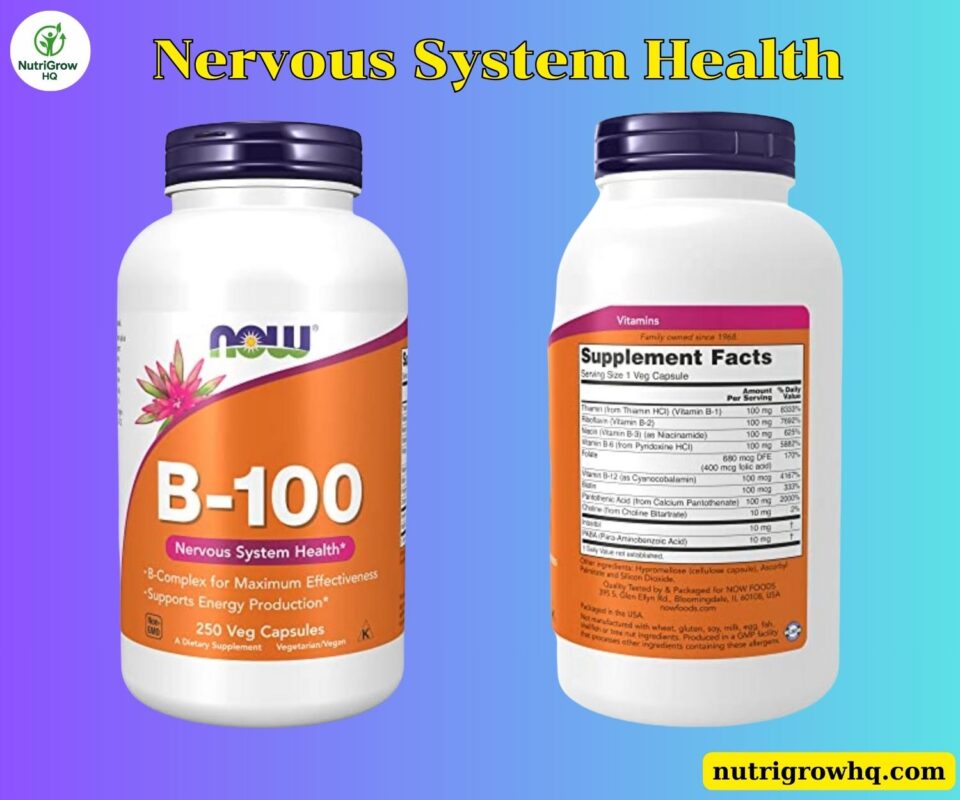 NOW Supplements Vitamin B-100 Review | Can It Really Help Support Nervous System Health? 1 NOW Supplements Vitamin B-100 Review